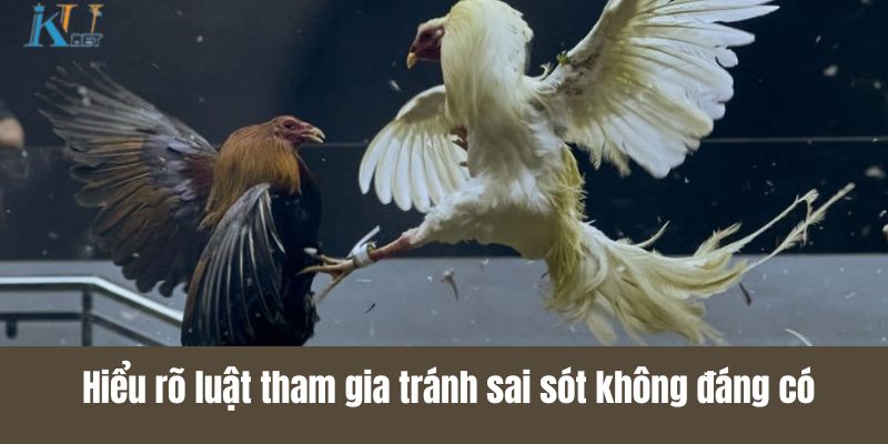 Hiểu rõ luật tham gia tránh sai sót không đáng có