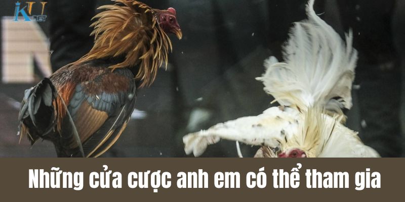 Những cửa cược anh em có thể tham gia